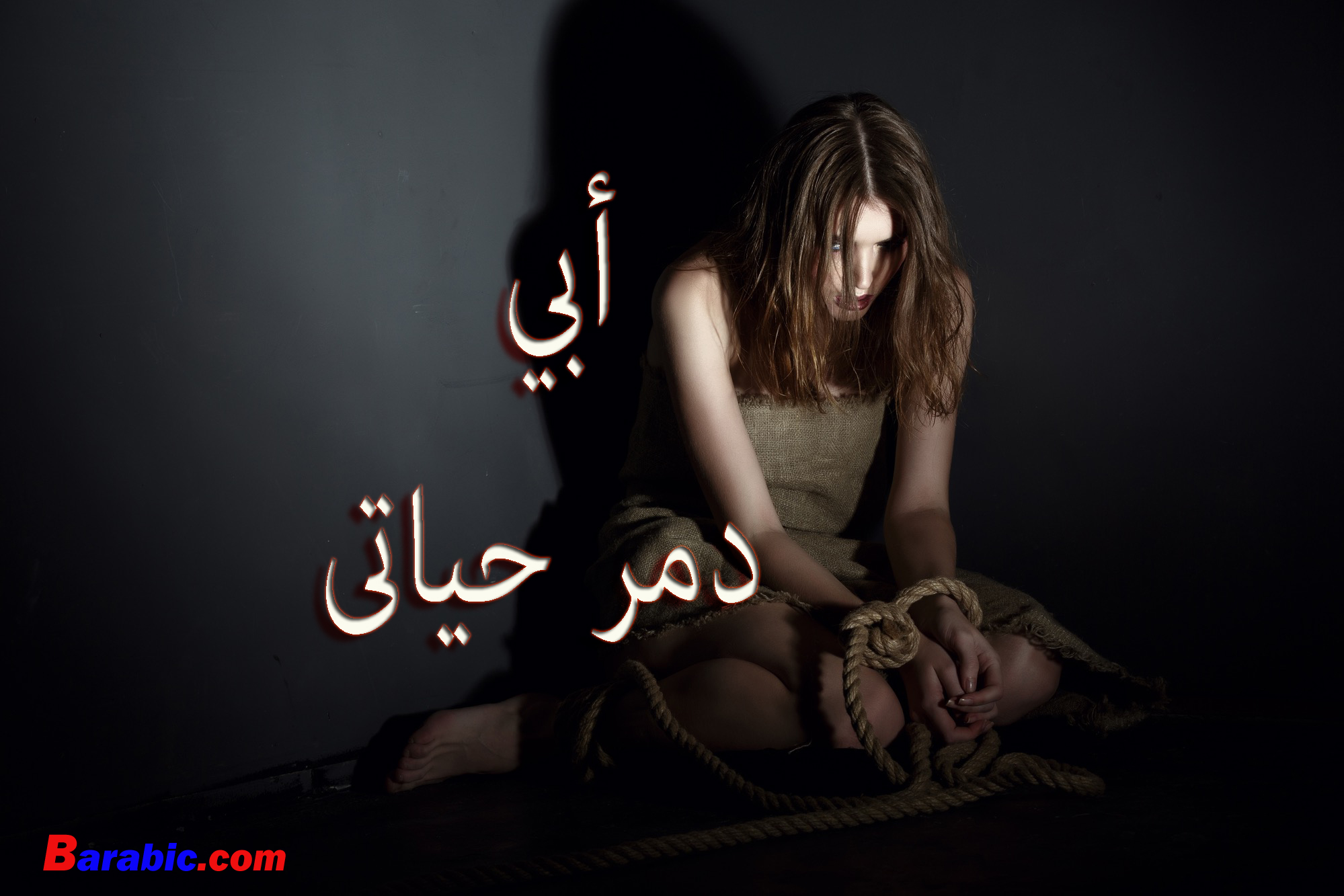 قصة أبي دمر حياتى الفصل الثاني بالعربي