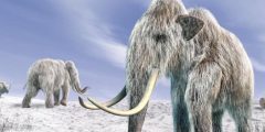 هل يمكن إحياء الحيوانات المنقرضة منذ آلاف السنين؟