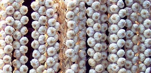 20 استخدامًا للثوم ستفاجئك