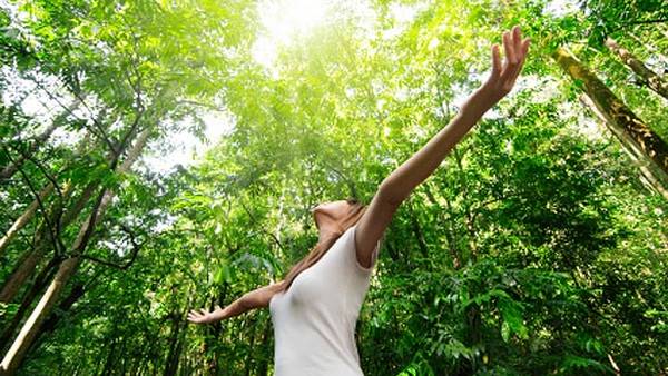 السبب في أن المشي في الأشجار يناسبك جيدًا