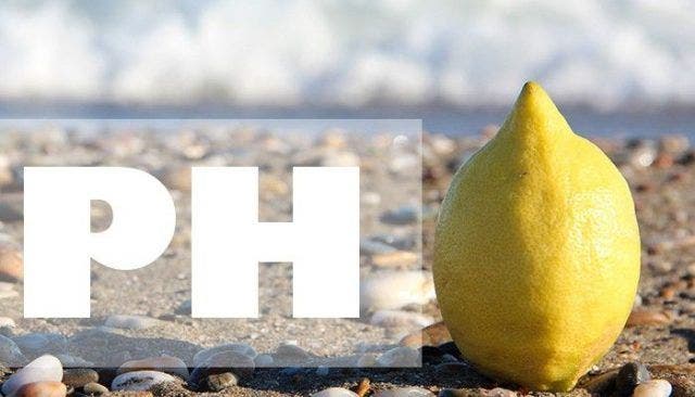 درجة الحموضة في جسم الإنسان