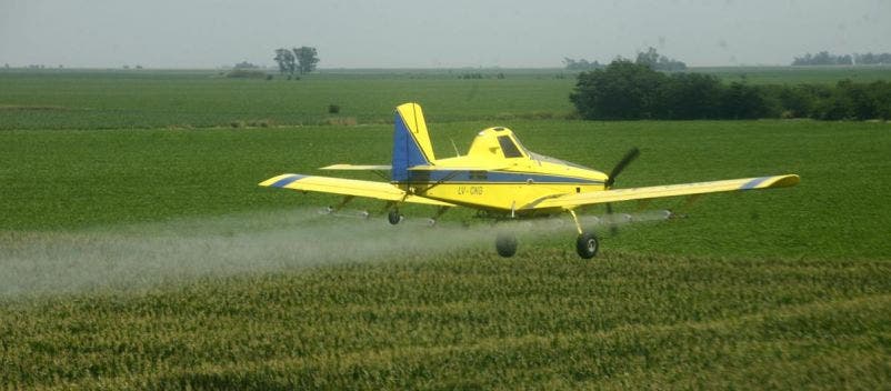 سيتوقف المنتج الأرجنتيني عن زراعة فول الصويا حتى لا يبخر الجيران المجاورين