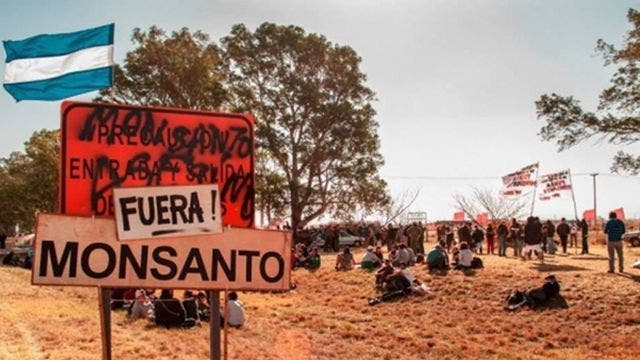 مالفيناس أرجنتيناس: أي جزء من “لا” لا يفهمه مونسانتو؟