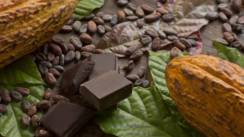 الشوكولاتة وخصائصها الصحية