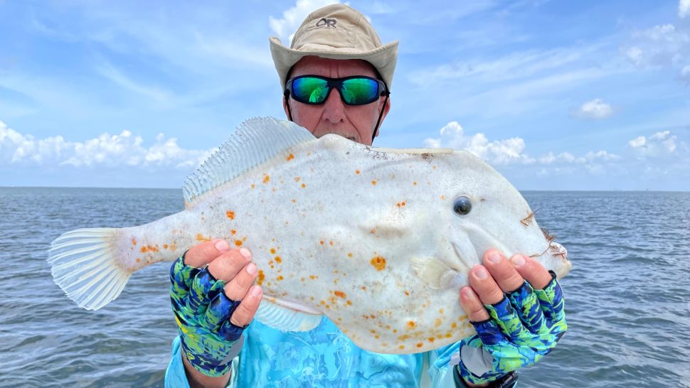 ‘اية لعنة هذه؟’ صياد فلوريدا يصطاد “سمك التورتيلا”.