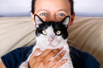 امرأة ذات عيون زرقاء تحمل قطة سوداء وبيضاء