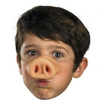 https://cf.ltkcdn.net/costumes/images/slide/105259-400x400-3_Little_Pigs.jpg