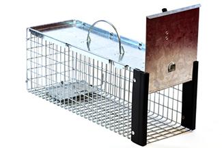 فخ باب واحد