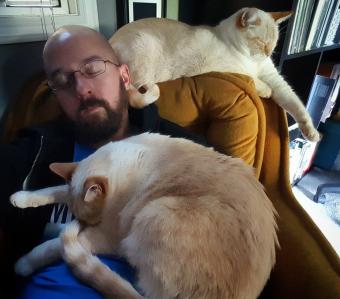 رجل نائم على كرسي مع قطتين نائمتين