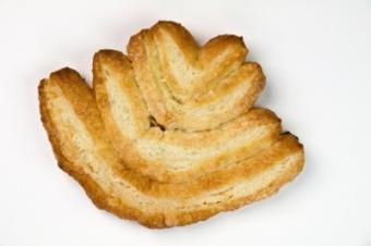 Palmier.jpg