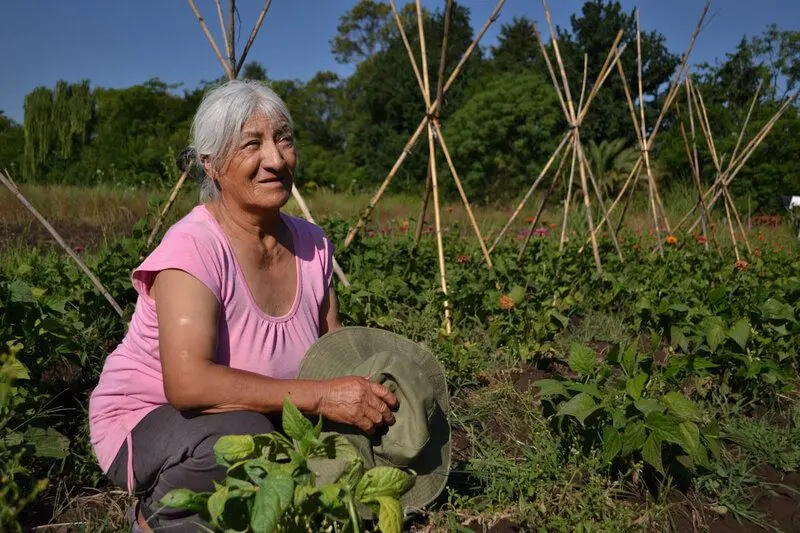 النسوية وعلم البيئة الزراعية: كيف تغير نظام الغذاء الزراعي؟