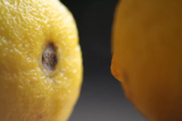 وصفة الليمون الرائب