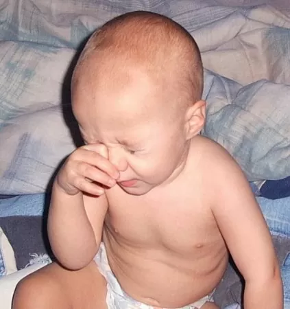 الطفح الوردي