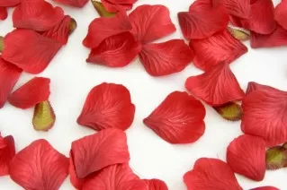 بتلات ورد الحرير لحفلات الزفاف