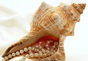 بدائل لباقات الزفاف