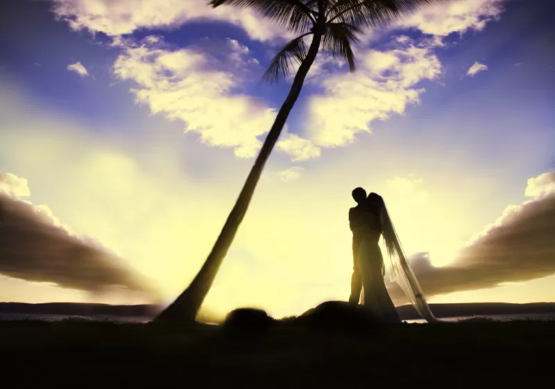 حزم العناصر غير مكلفة