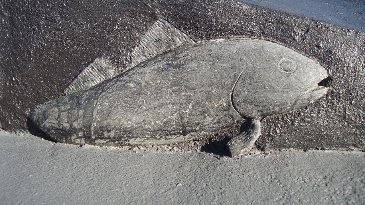 كيف يؤثر تغير المناخ على الأسماك