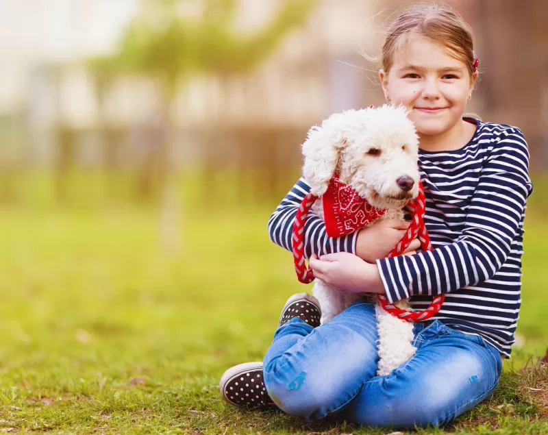 ما السلالات التي تصنع أفضل علاج للكلاب للأشخاص المصابين بالتوحد؟