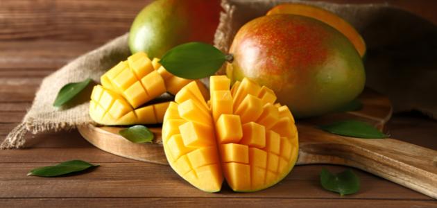 حقائق المانجو: تعرف على كل شيء عن هذه الفاكهة الاستوائية