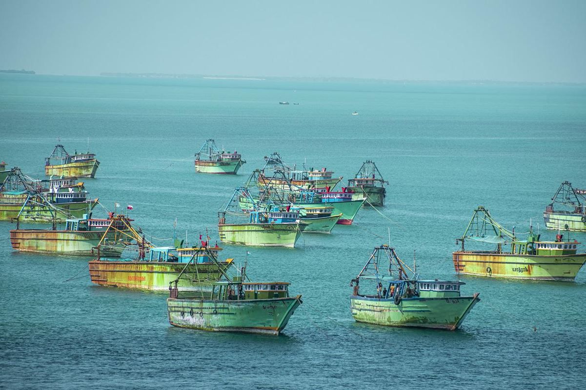 مخاوف بشأن تأثيرات تغير المناخ على الأسماك