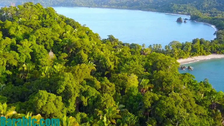 لطالما أشار دعاة الحفاظ على البيئة إلى أن صحة الإنسان تعتمد على بيئة صحية.