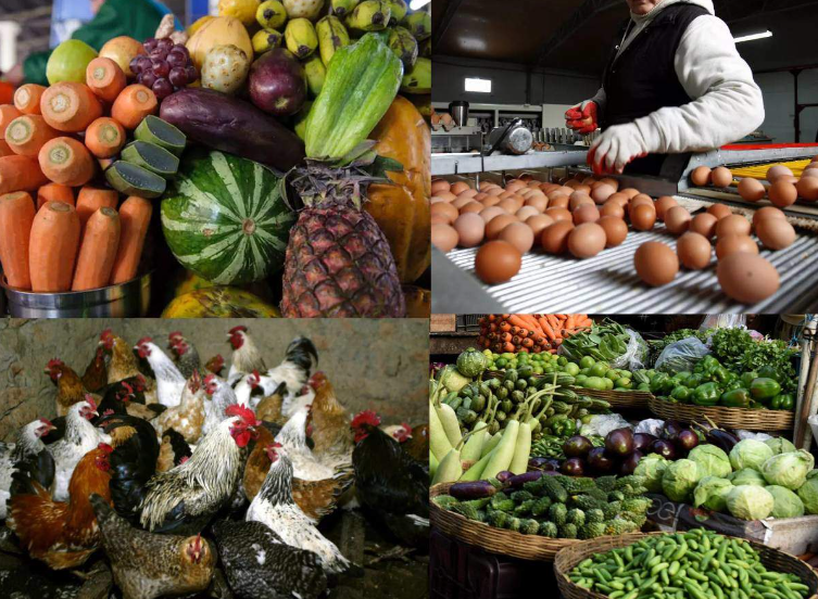 اسعار الدجاج والخضار في غزة اليوم السبت 26/11/2022