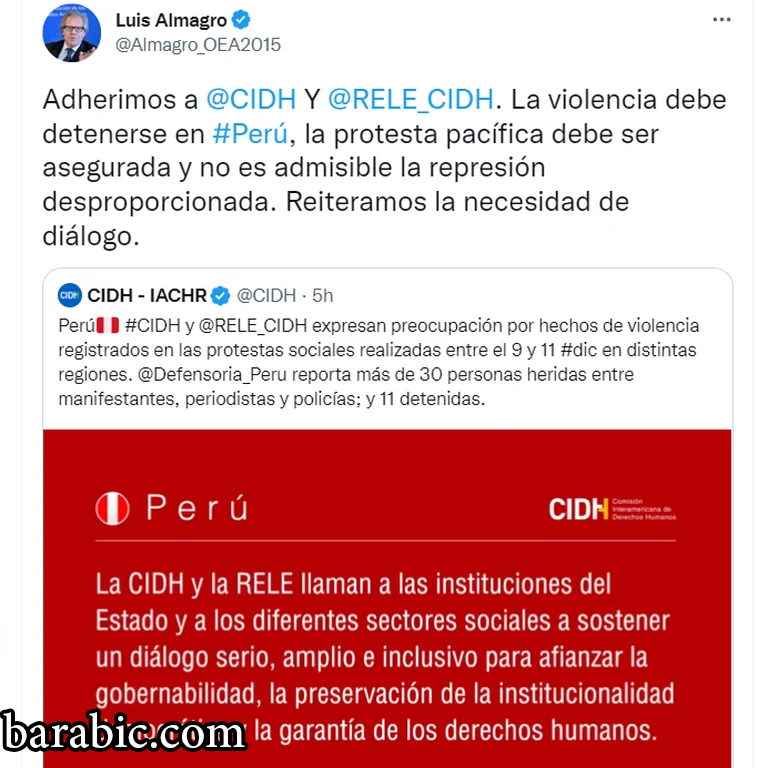 الرسالة التي نشرها الأمين العام لمنظمة الدول الأمريكية، لويس ألماغرو، عبر الشبكات الاجتماعية.