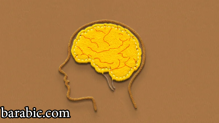 لماذا قد يؤدي نقص فيتامين (د) إلى شيخوخة الدماغ بشكل أسرع