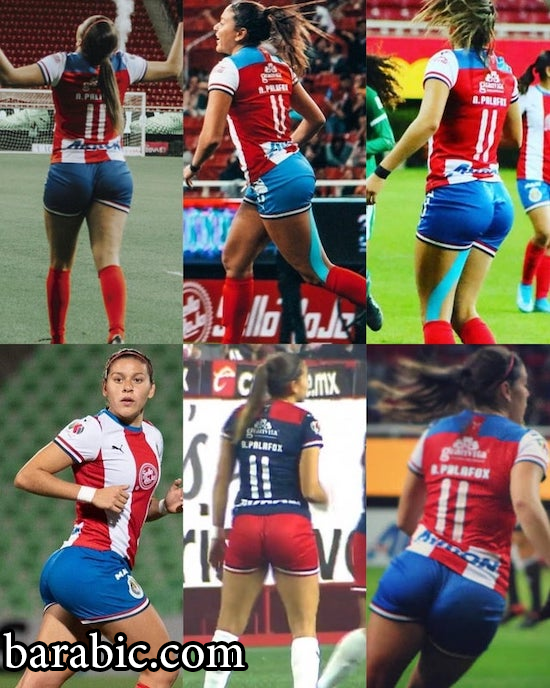 نورما بالافوكس redd