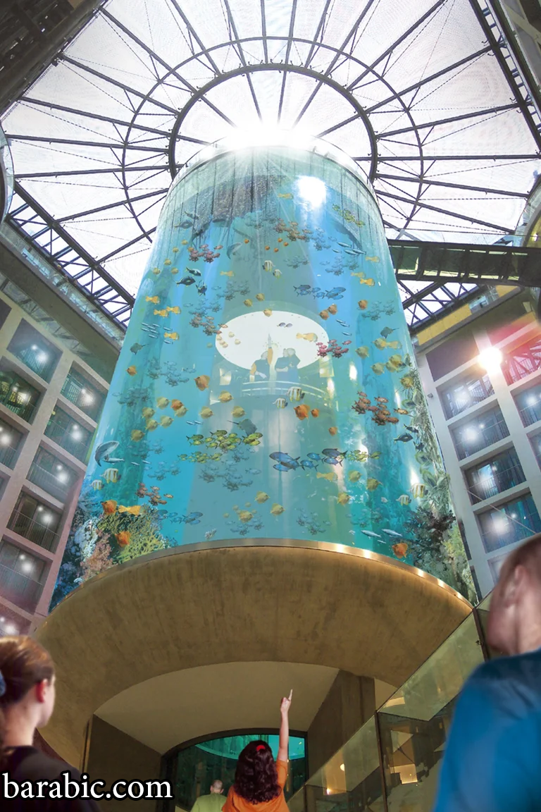 هذا ما بدا عليه أكوادوم أكواريوم