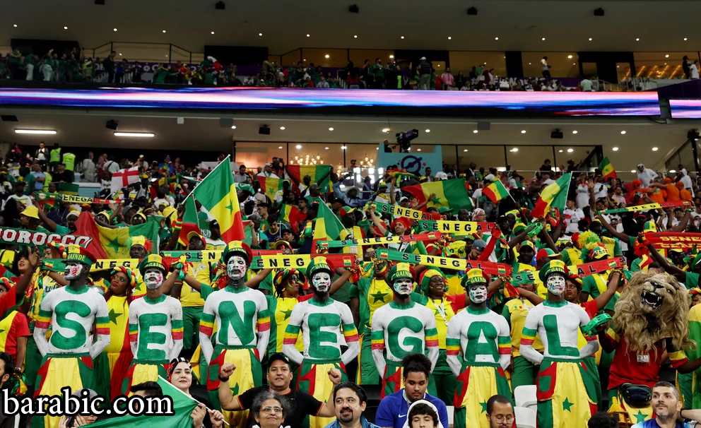 لون المشجعين السنغاليين