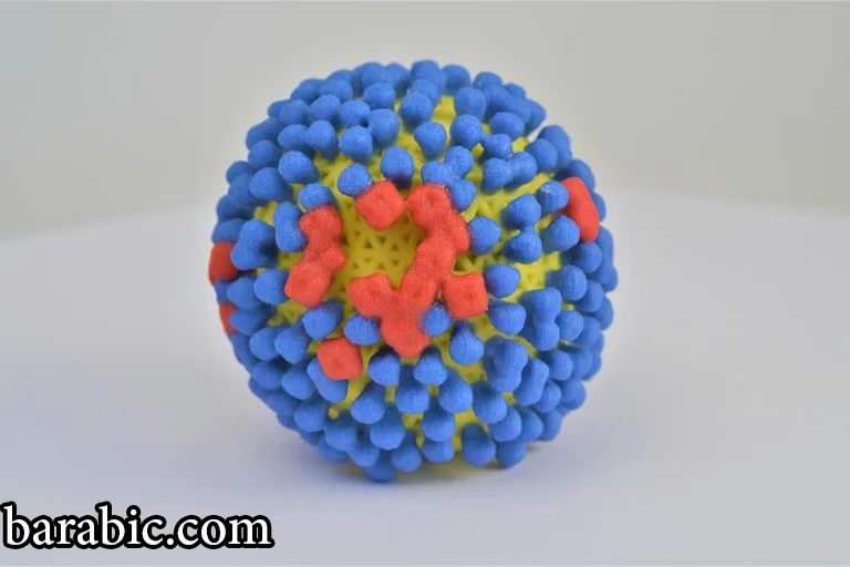 تم وضع ذخيرة الأجسام المضادة للأمعاء من killifish تحت مجهر الخبراء ، الذين اكتشفوا فقدان التنوع المعتمد على العمر.