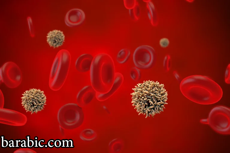 يوضح الخبراء أن الورم النقوي المتعدد (MM) هو مرض أورام دموية