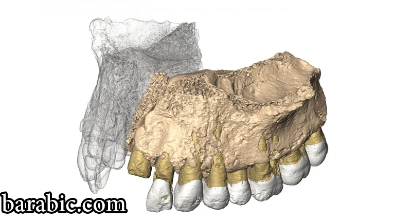 يشتبه في أنه إذا تمكن البشر القدامى من عبور بحر إيجه ، فيمكنهم أيضا المرور عبر مضيق جبل طارق / جامعة فيينا ، النمسا (أرشيف)