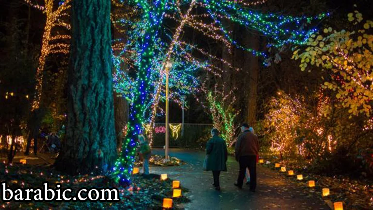 ولاية أوريغون هي وجهة غير تقليدية. ومع ذلك ، يحضر الآلاف من الناس اقتراحها الفريد ، مما يجعل المدينة مكانا يستحق التصوير والإعجاب