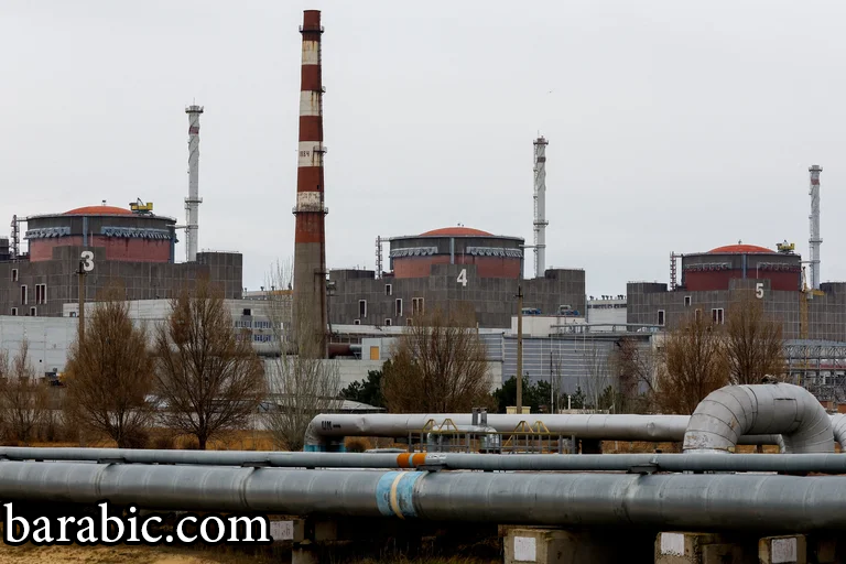 محطة زابوريزهزهيا للطاقة النووية في سياق الصراع الروسي الأوكراني خارج مدينة إنيرودار في منطقة زابوريزهزهيا ، أوكرانيا التي تسيطر عليها روسيا ، 24 نوفمبر 2022. رويترز/ألكسندر إرموشينكو/ملف