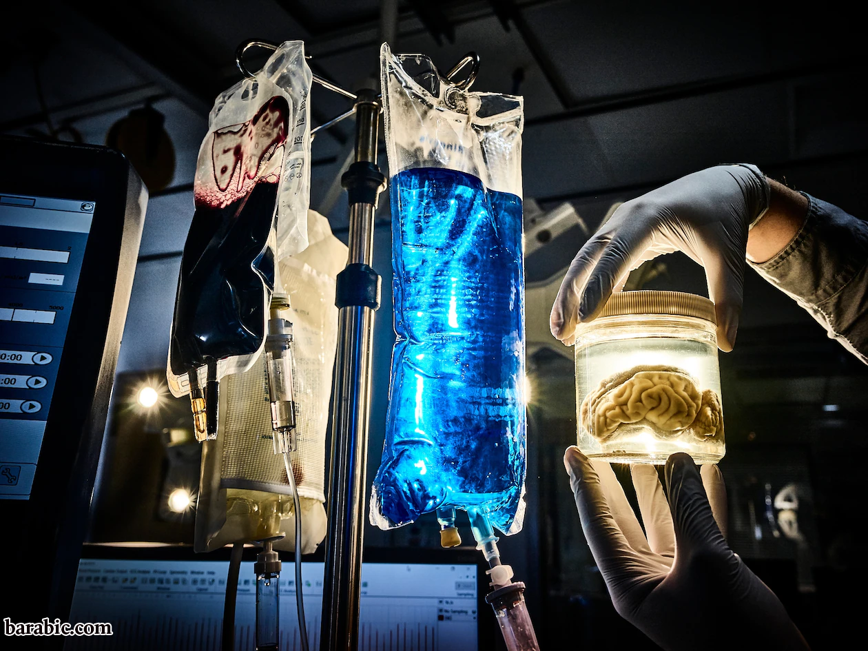 أكثر 22 اكتشافًا مدهشًا لعام 2022