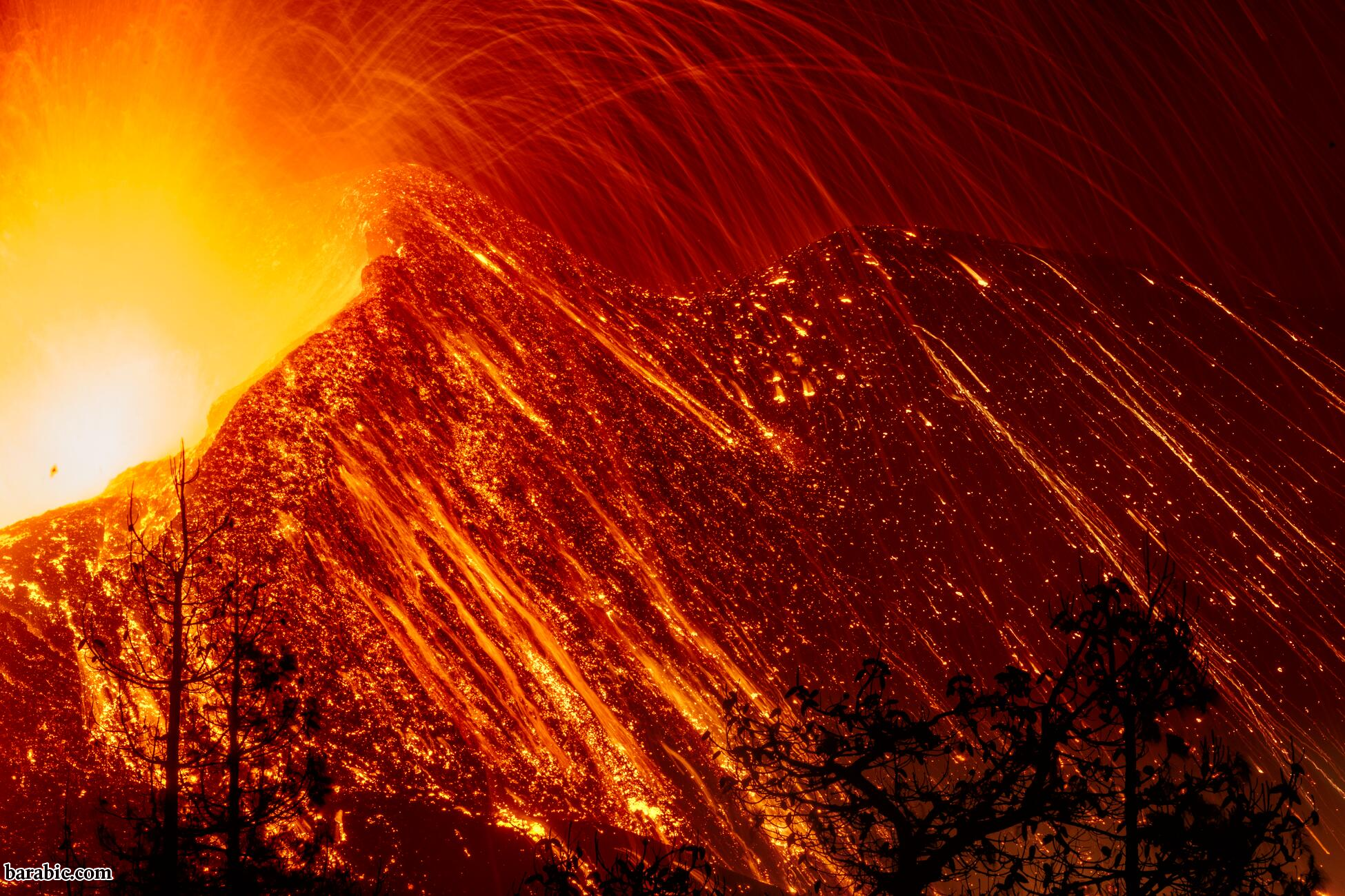 تصوير كارستن بيتر