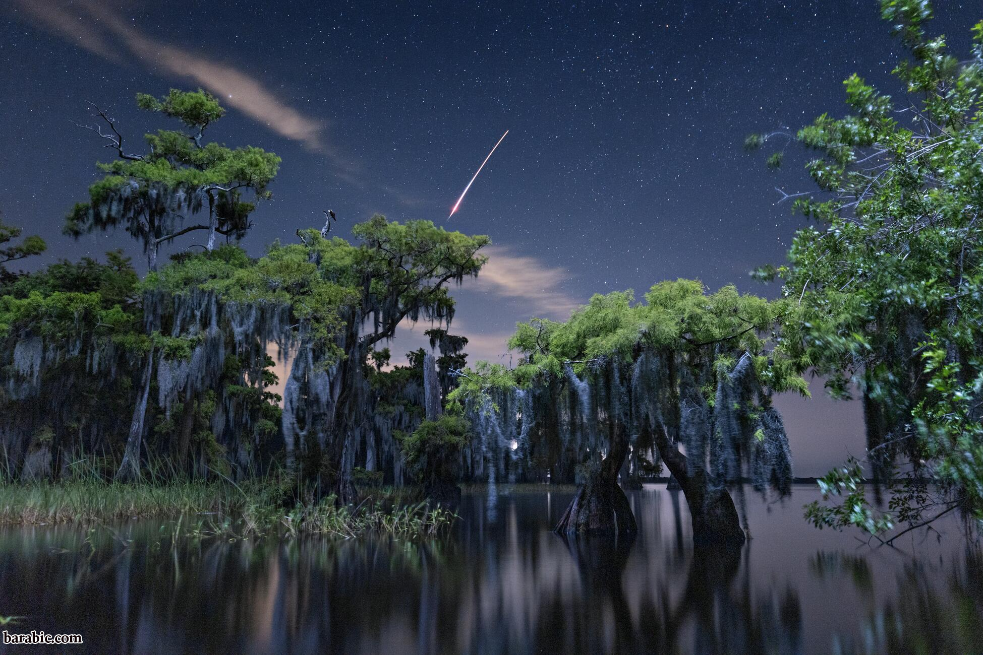 تصوير ماك ستون