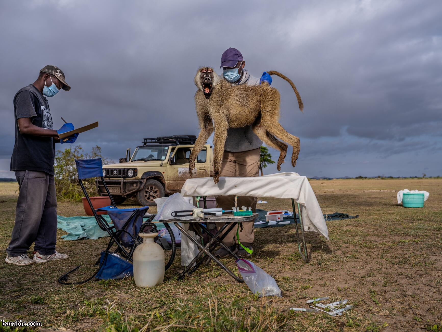 تصوير نيكول سوبيكي