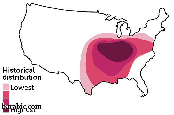 P.B. مازي وآخرون / الأمراض المعدية السريرية 2022
