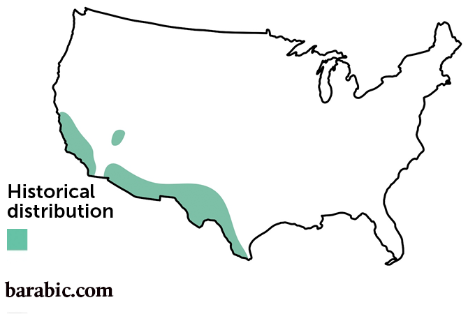 P.B. مازي وآخرون / الأمراض المعدية السريرية 2022
