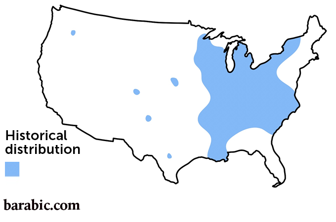 P.B. مازي وآخرون / الأمراض المعدية السريرية 2022