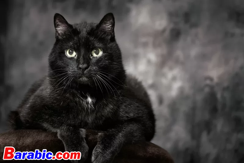 توماس ماركس / iStock عبر غيتي إيماجيس