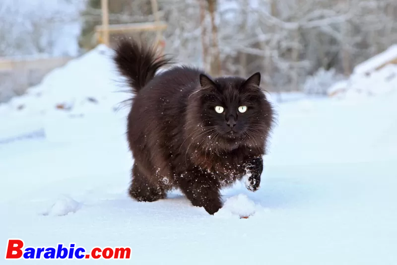 إيه جي كاساين / فوتونونستوب عبر غيتي إيماجيس