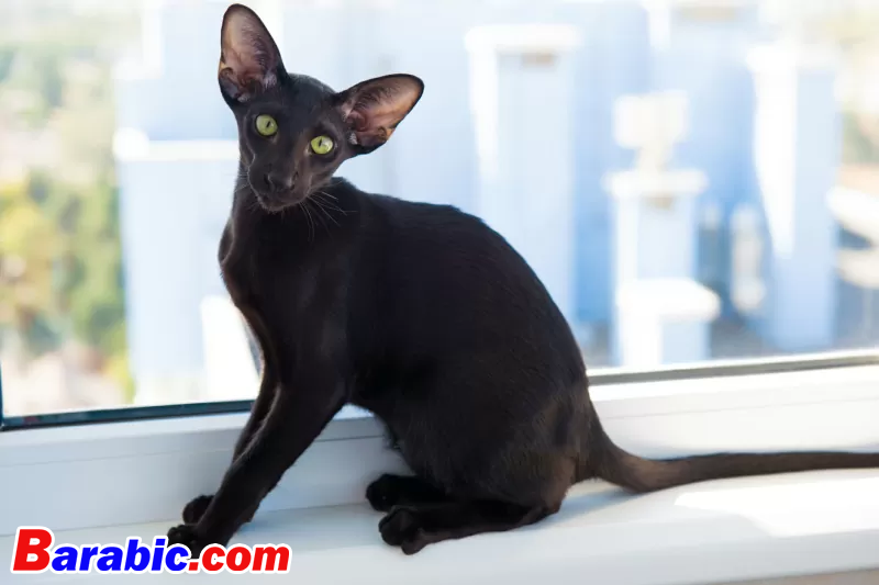 بافلو فخروشيف / 500px عبر غيتي إيماجيس