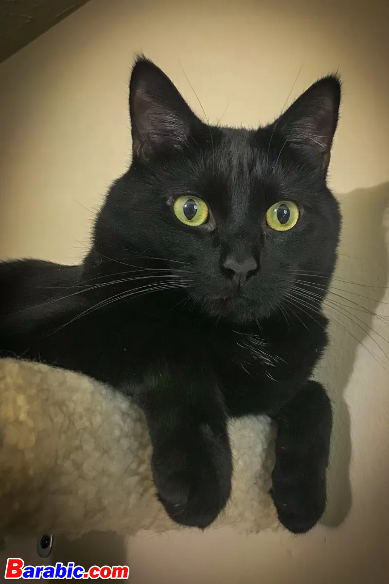 تيم باولاك / iStock عبر غيتي إيماجيس