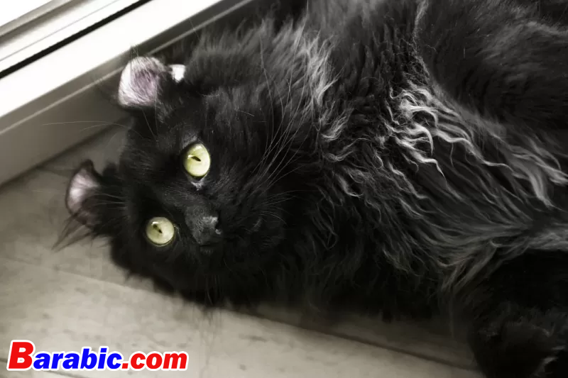 Vof / iStock عبر غيتي إيماجيس