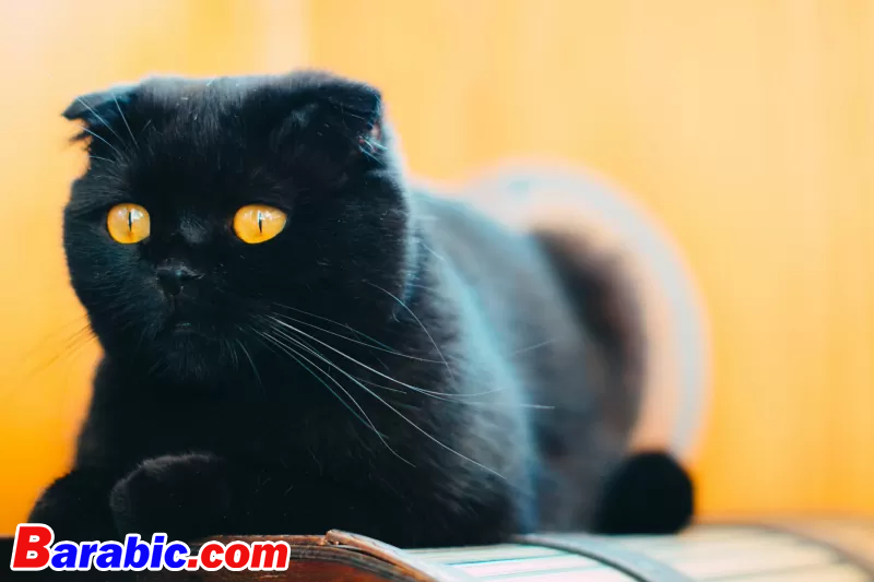 نيكا بنديكتوفا / 500px عبر غيتي إيماجيس