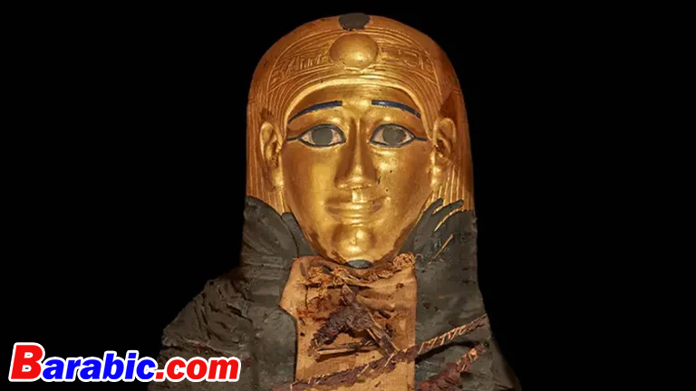 يبلغ عمر المومياء 2300 عام (الحدود في الطب والمتحف المصري بالقاهرة)